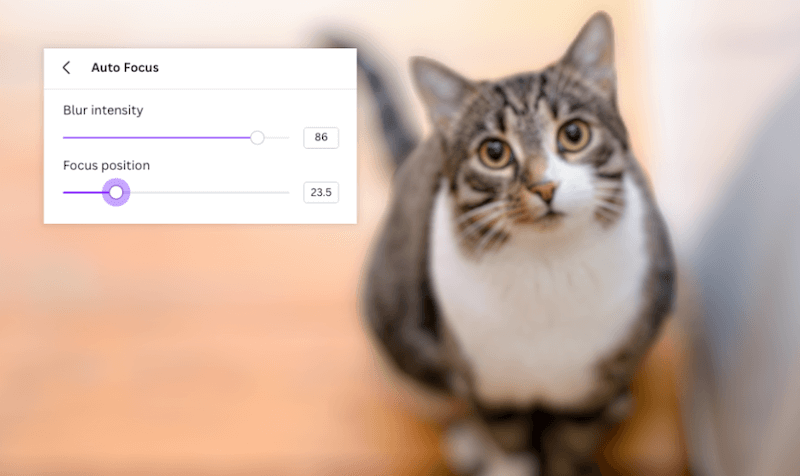 increase blur intensity and reduce focus position of cat image in canva