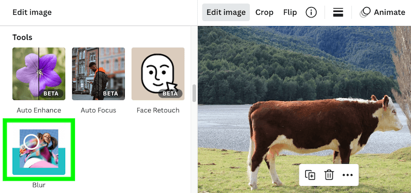 select blur in the tools section in canva