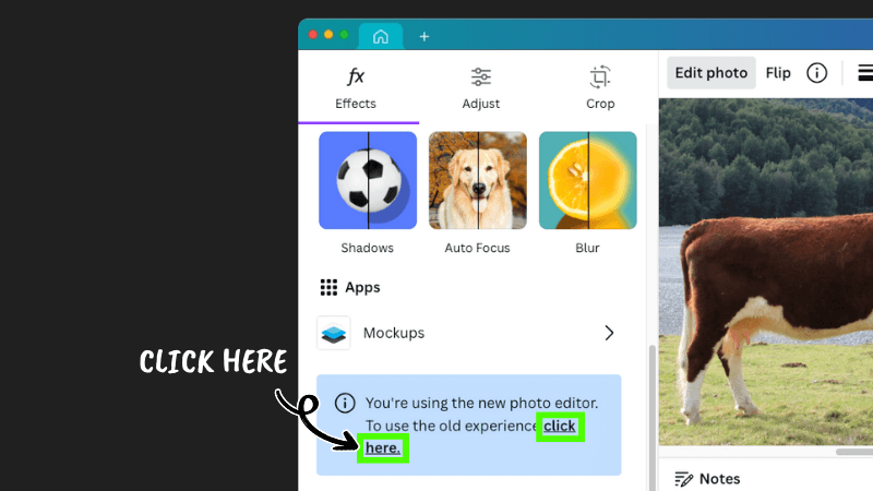 click on link to change to old editor in canva