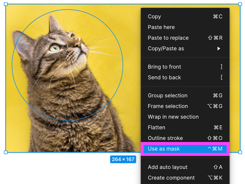 Use as mask on the cat photo in figma