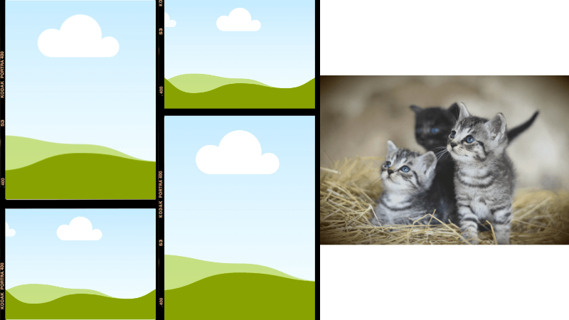 frame and cat image in canva on how to use frames on canva