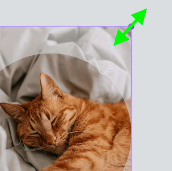 click and drag corner handles to adjust image size in canva frame