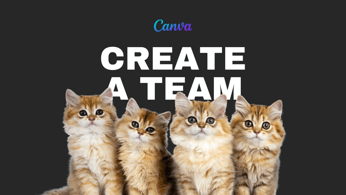 3 Easy Steps To Create A Team On Canva for Free