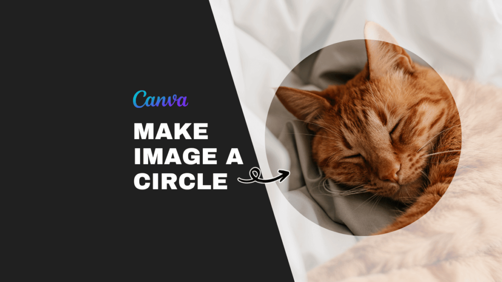 how to make an image a circle in canva