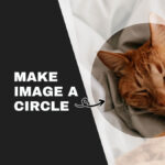 An orange cat sleeps peacefully within a circular frame on the right. The left side features bold text: "MAKE IMAGE A CIRCLE."