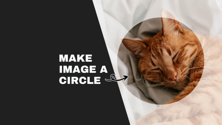 An orange cat sleeps peacefully within a circular frame on the right. The left side features bold text: "MAKE IMAGE A CIRCLE."