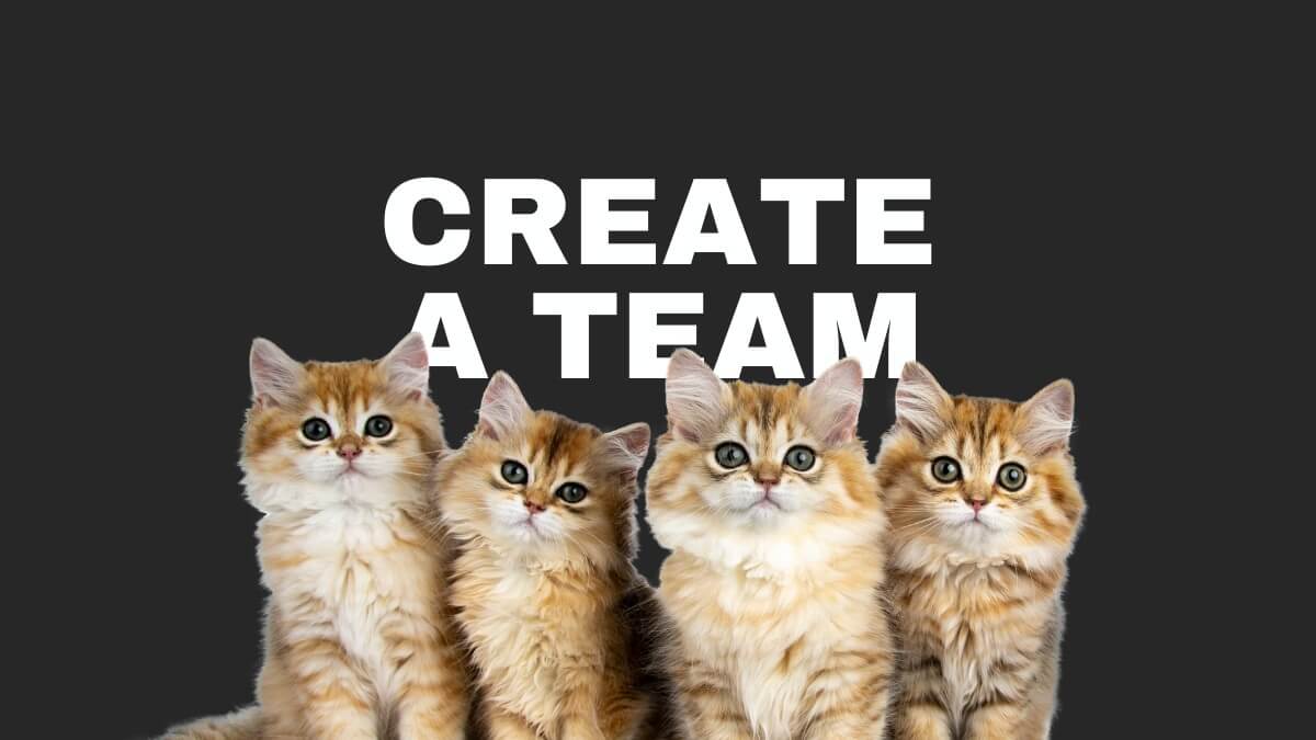 Four fluffy kittens sit in front of the text "CREATE A TEAM" against a solid dark background.