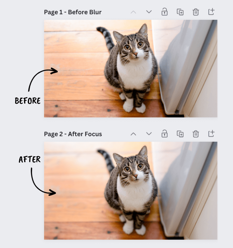 before after fx effects auto focus canva