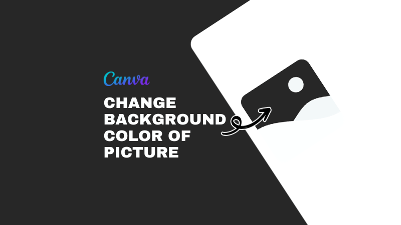 how to change background color of picture in canva