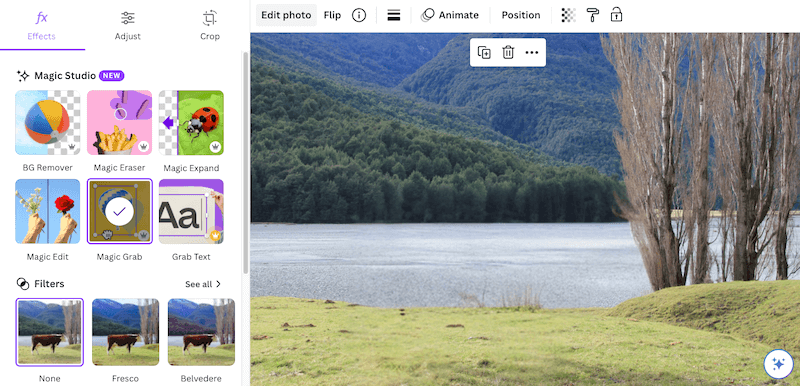 magic grab removes cow in canva