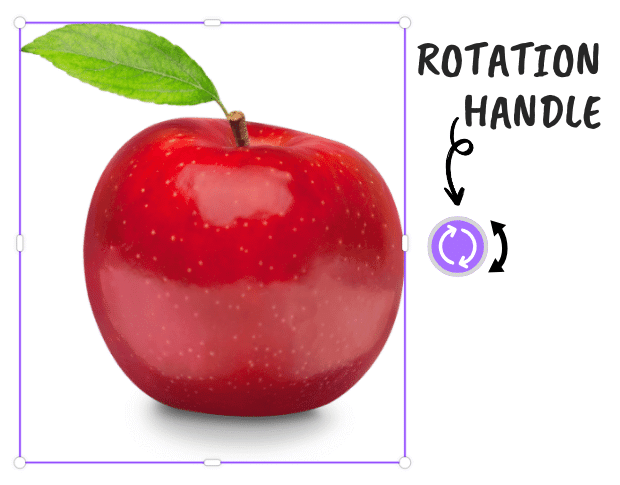 rotation handle next to an apple image in canva