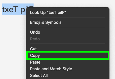 right-click on selected flipped text and select copy 
