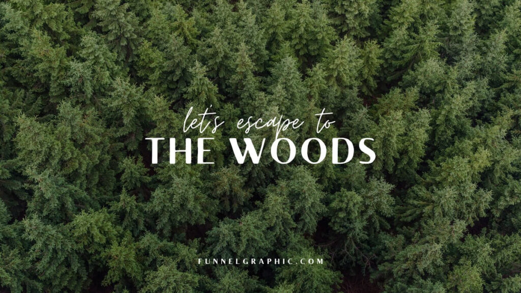 Moontime + Brixton Sans Font Pairing In Canva