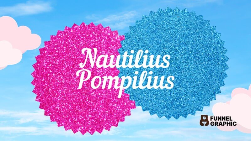 Nautilius Pompilius is one of the alternative barbie fonts in canva