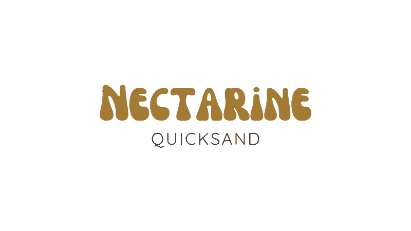 Nectarine With Quicksand - Canva Font Combinations For Business