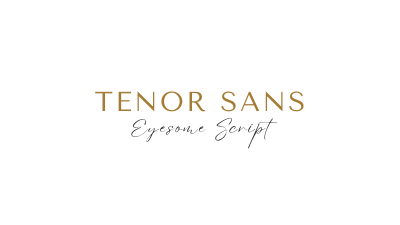 Tenor Sans with Eyesome Script - Canva Font Combinations For Business