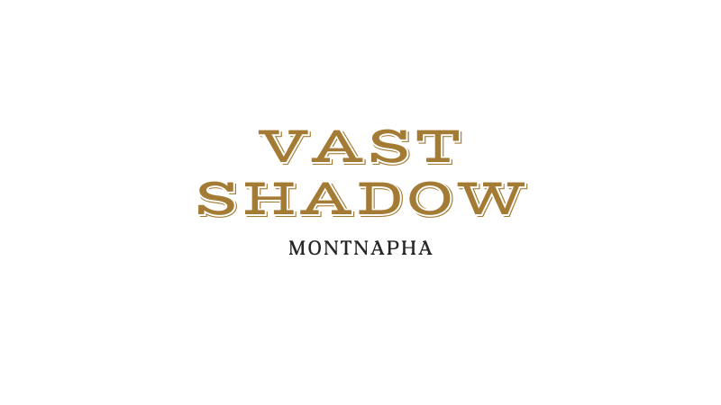 Vast Shadow With Montnapha - Canva Font Combinations For Business