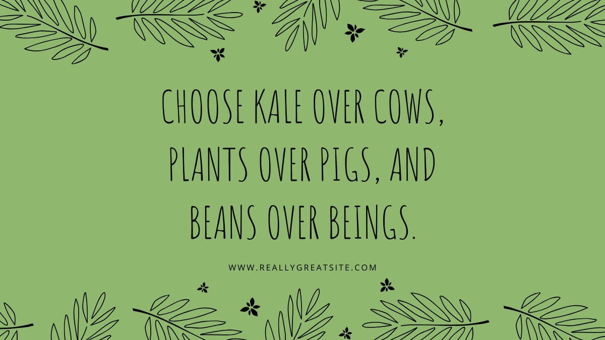 Free Quote Fonts In Canva: 17 Engaging Fonts To Inspire You