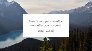 Free Quote Fonts In Canva: 17 Engaging Fonts To Inspire You