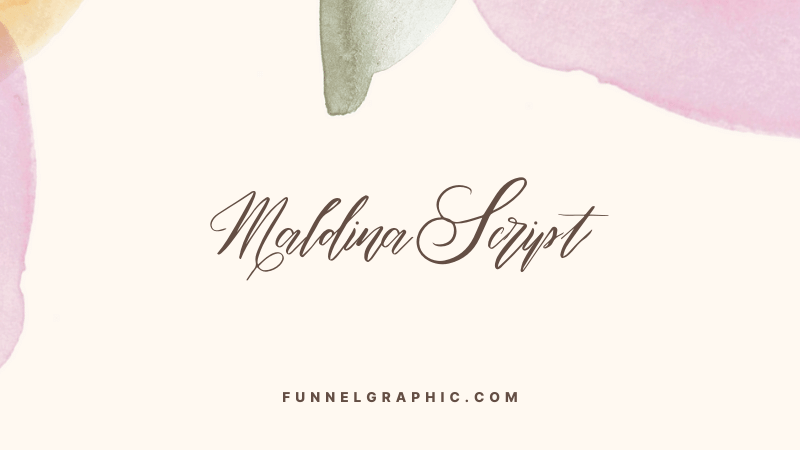 Maldina Script - Canva fonts with long tails