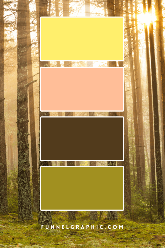 Forest Sunrise Color Palette