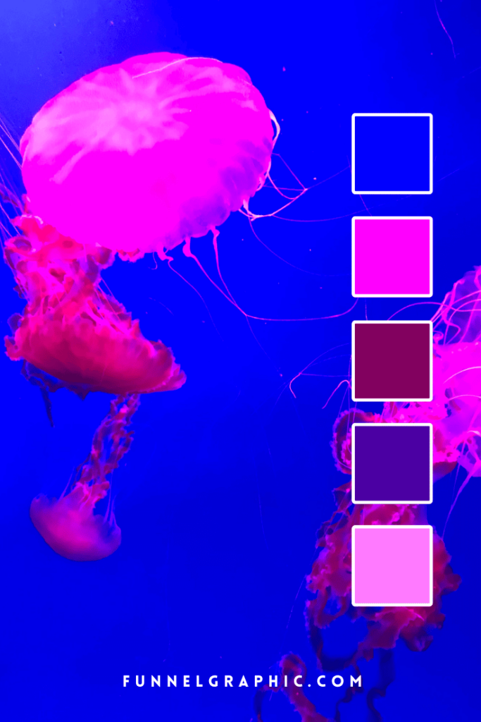 10 Jellyfish Color Palette For Your Brand Kit Ideas