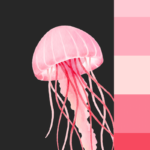 pink jellyfish with various pink tones and color palette