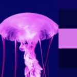 Pink Jellyfish color palettes