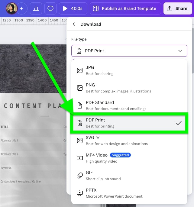 The image shows a download menu with file options, highlighting "PDF Print." A person’s profile picture is visible on the upper left corner.
