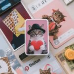 A collection of cat-themed photos, graphics, and text, including a cat with a heart, displayed on a surface with various items.