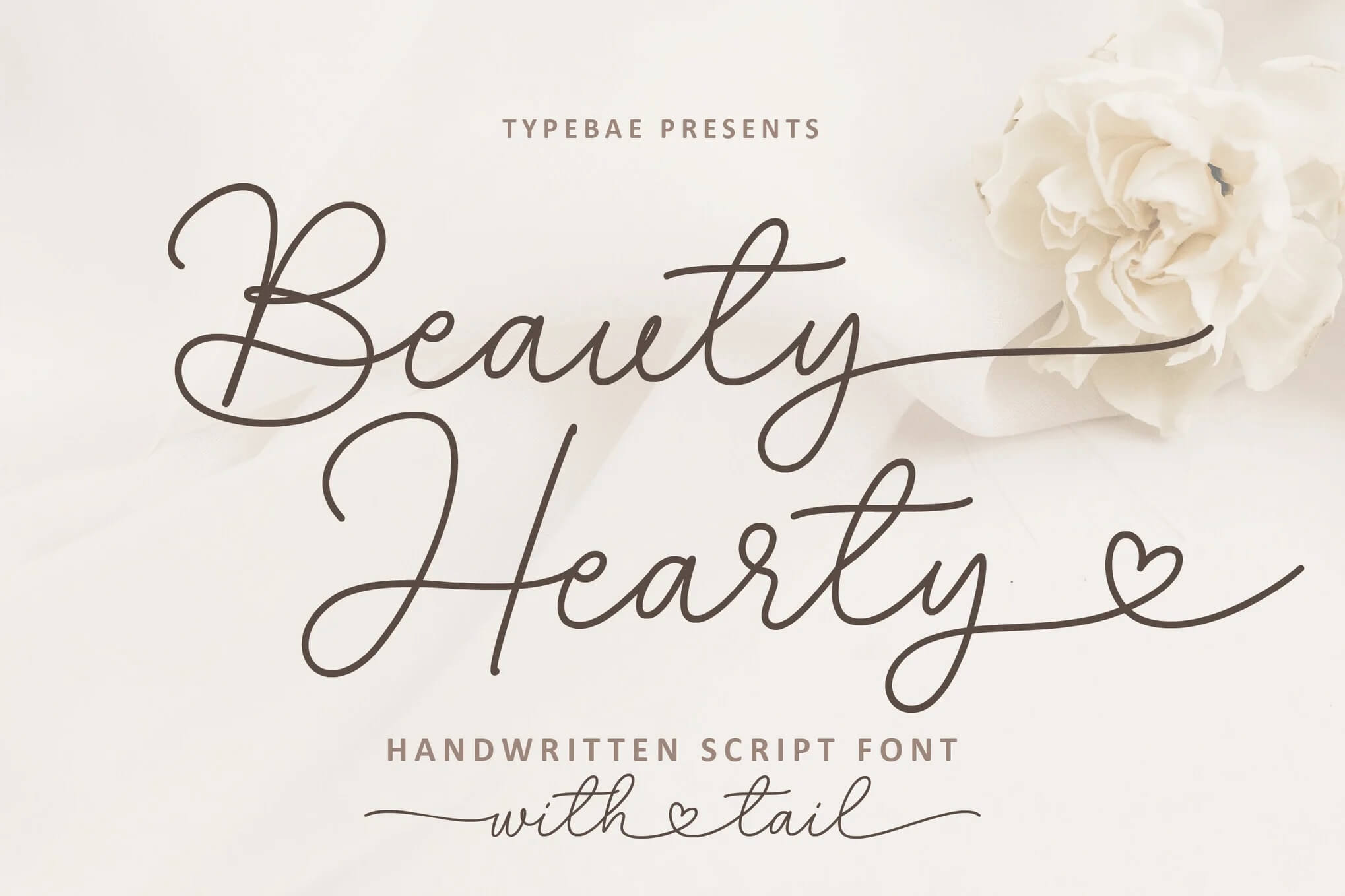 Elegant handwritten script font "Beauty Hearty" displayed with a decorative heart; accompanied by a white rose on a soft background.