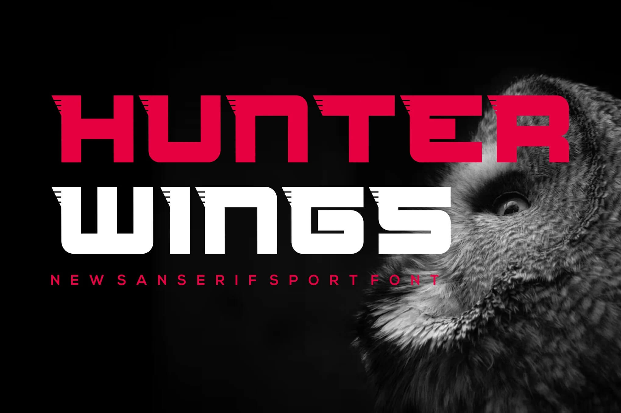 06 Hunter Wings