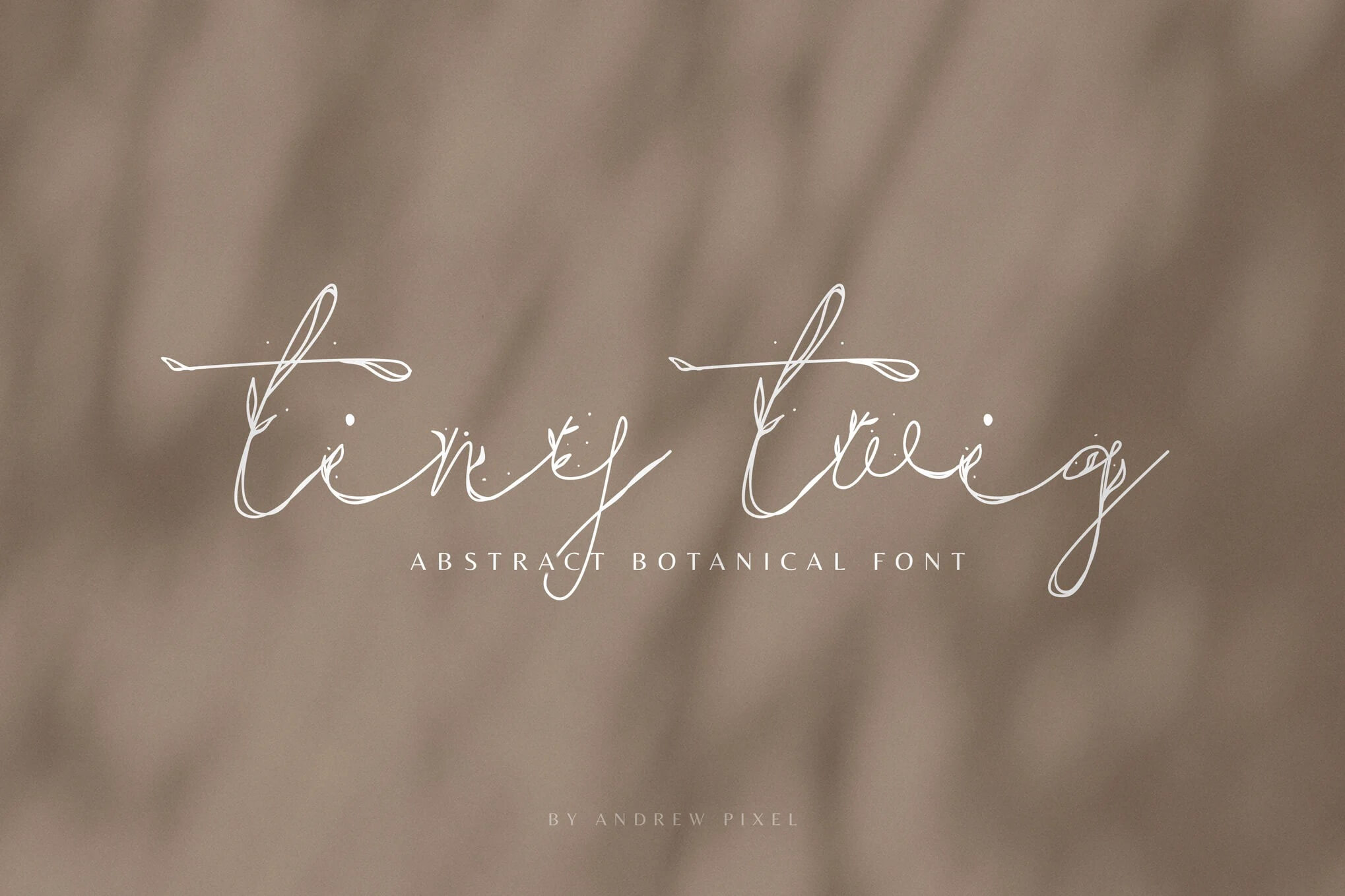 Elegant "tiny twig" handwritten font displayed on a soft beige background, described as an abstract botanical font by Andrew Pixel.