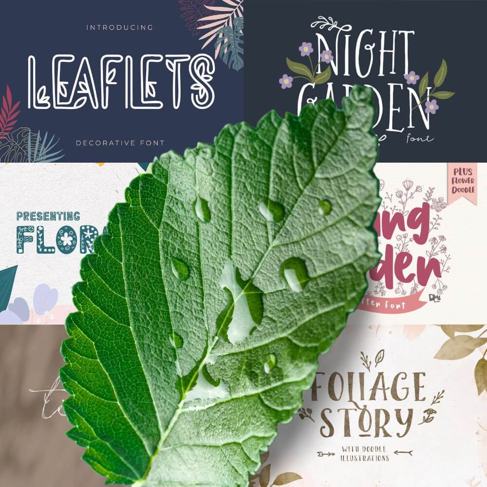 A vibrant green leaf with water droplets overlays a collage of floral-themed decorative font designs, featuring text like "Leaflets" and "Night Garden."